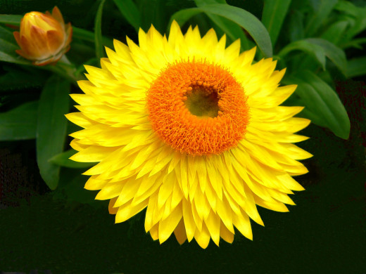 434268 (a): :2400x1800